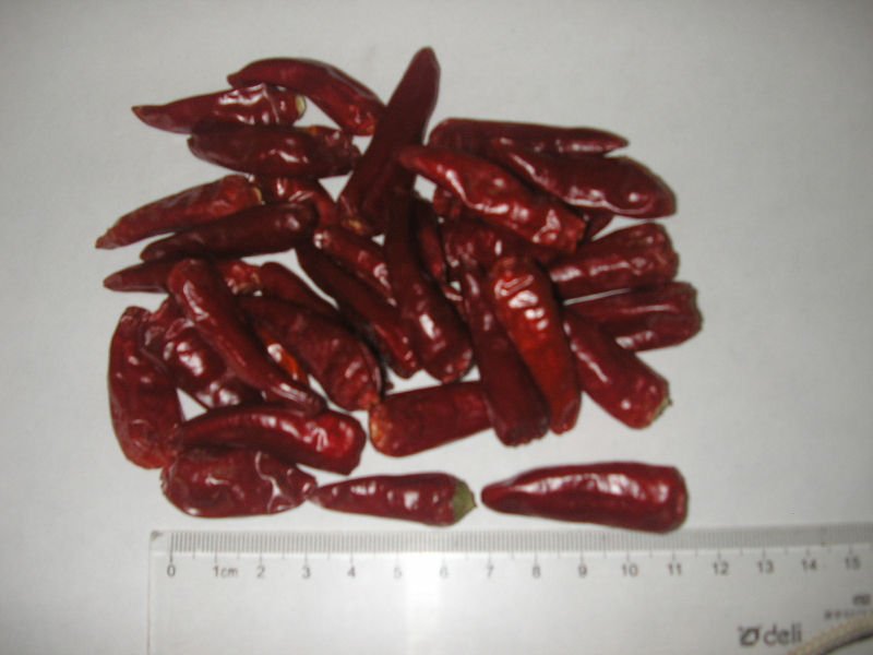 bullet chili.JPG