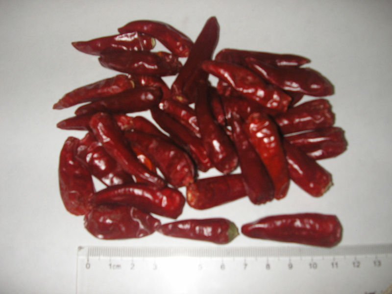 Bullet Chili