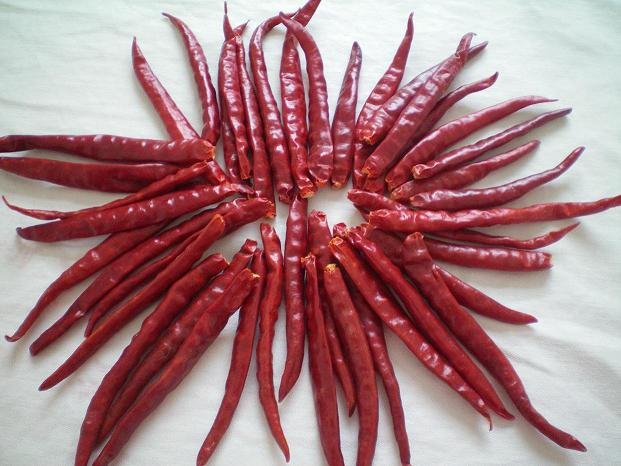 High Hot Chaotian Chili, Chili Japonese,china Liandahang Price Supplier 