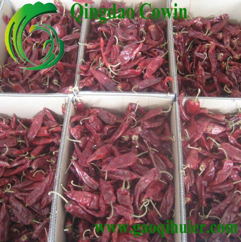 dry chilli 3