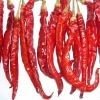 frozen_chilli.summ.jpg