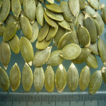 snow white pumpkin kernels.jpg