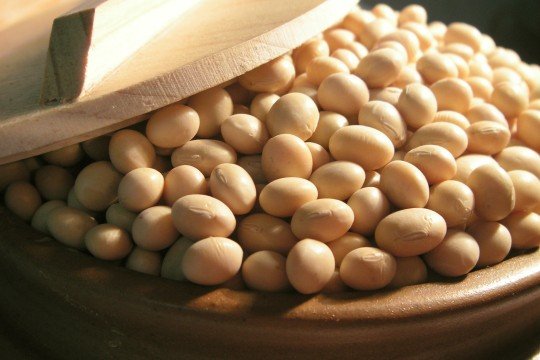 Non-GMO soybeans.jpg