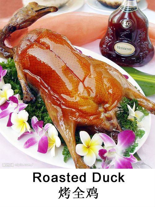 roasted duck.jpg