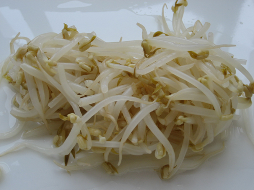 bean sprouts protein