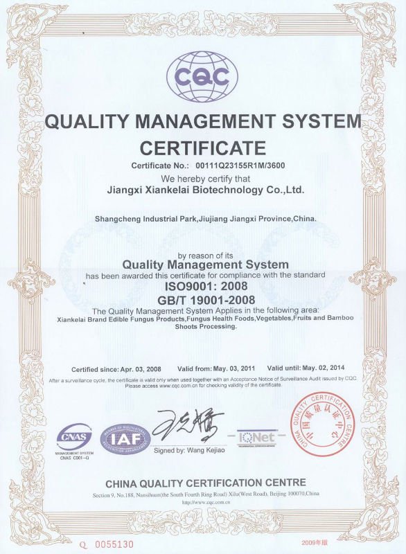 ISO9001