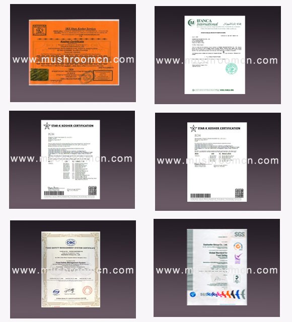 certificates 2