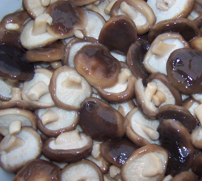 shiitake.jpg