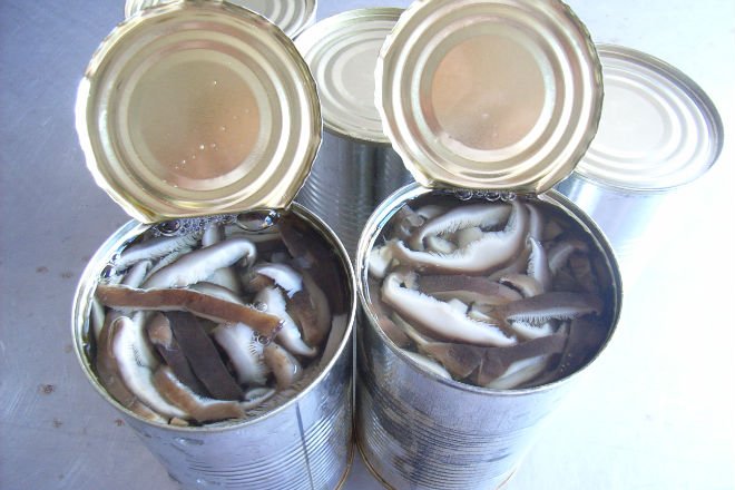 Canned mushroom