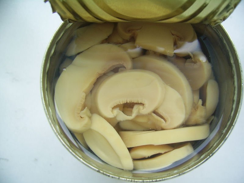 SSA42491.JPG