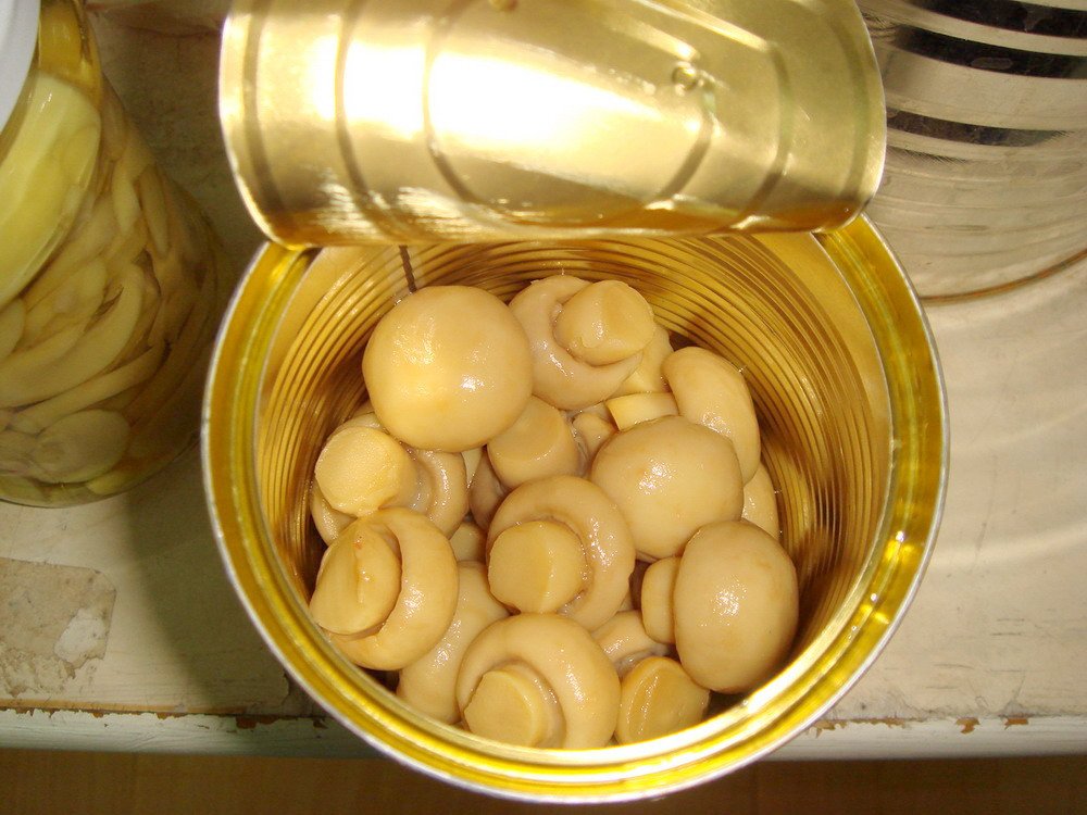 2009817224730123