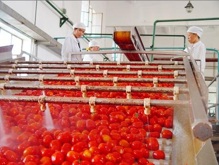 tomato paste 5.jpg