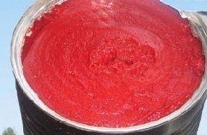 tomato paste in drum