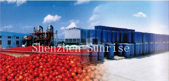 tomato paste manufacturer
