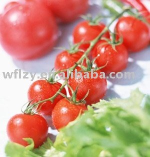fresh_tomato_paste