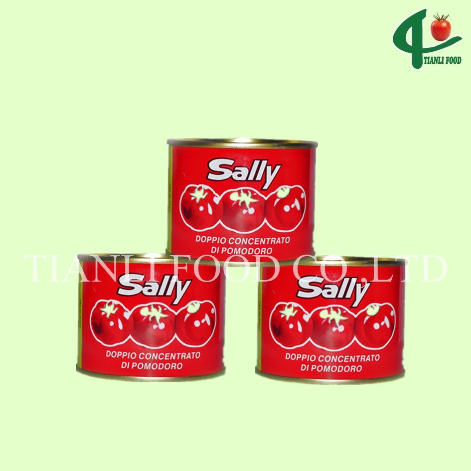 SALLY 3