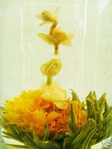 6c44_35[1]