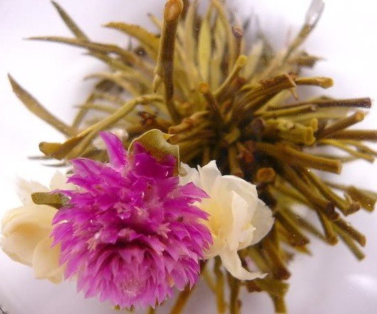 bloom.jpg