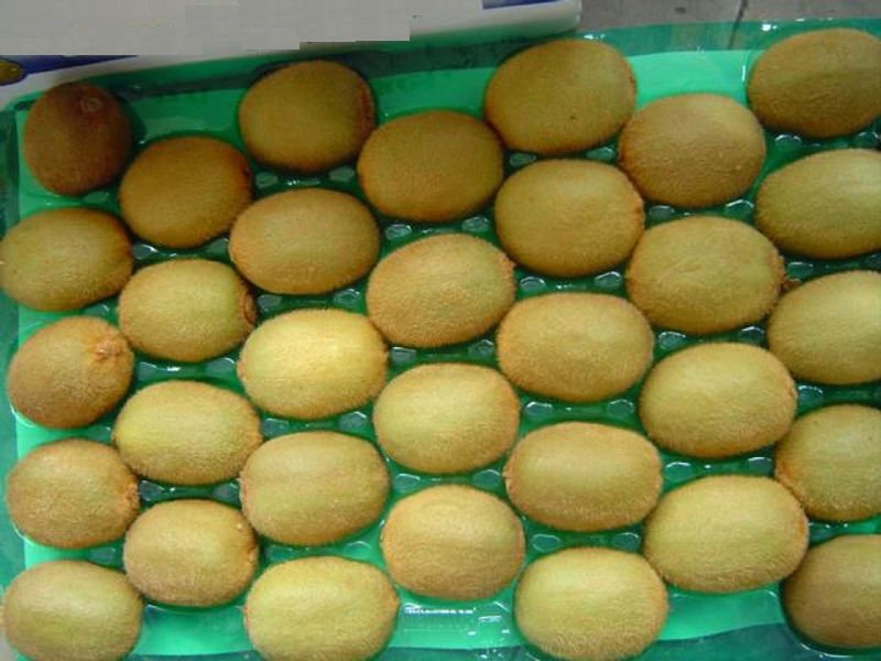 kiwi-10