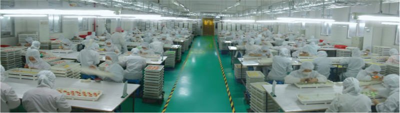 Marshmallow Candy-producing Workship.jpg
