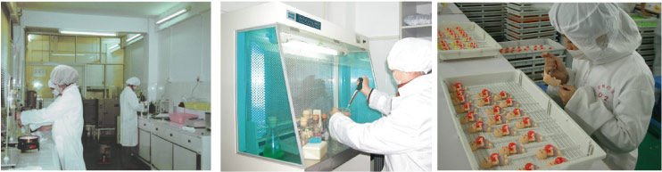Jerry Candy-producing workship.jpg