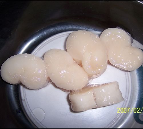 pen shell meat