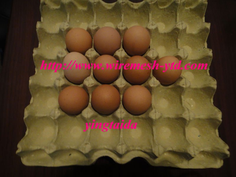 DSC04113.JPG