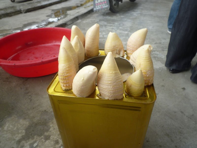 P1010587.JPG