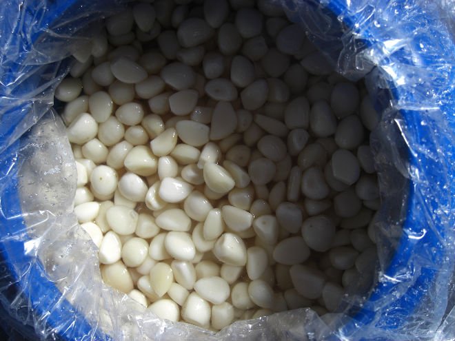 Pickled Garlic In Brine China Dayang Food Price Supplier Food