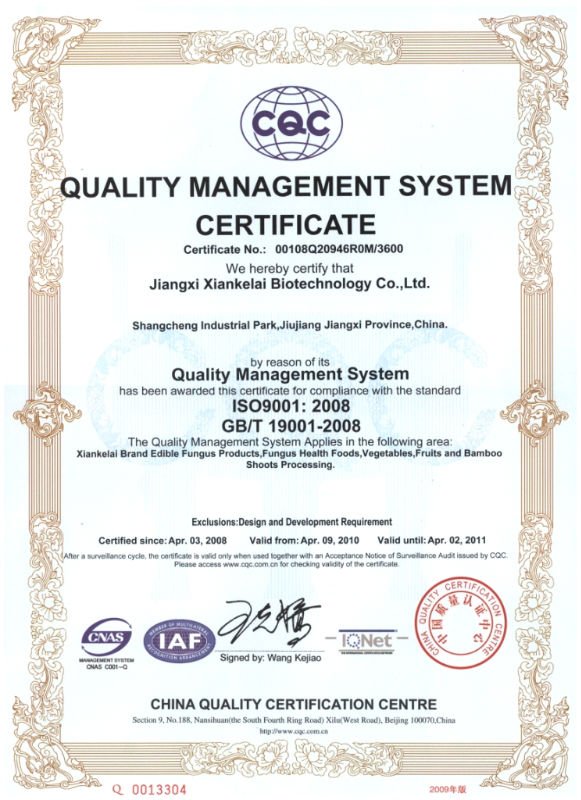ISO2010