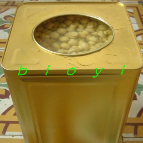 conew_129154084_conew1.jpg