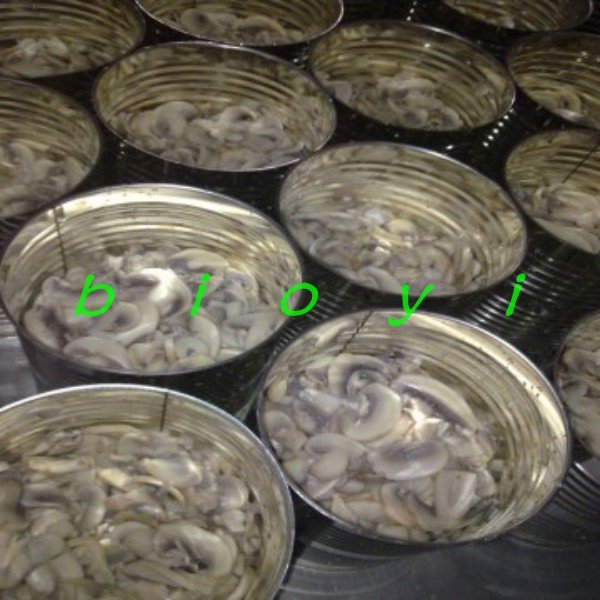 conew_canned mushroom_conew1.jpg