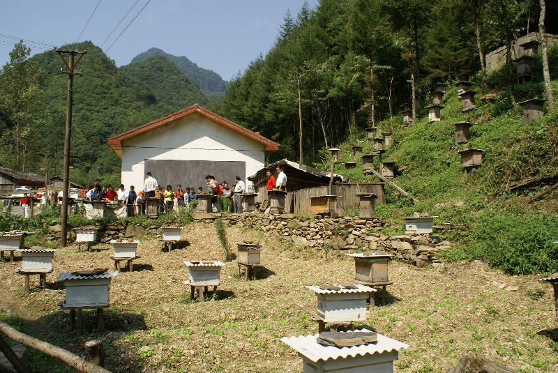 DSC00339