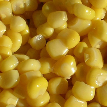 Sweet-Corn.jpg