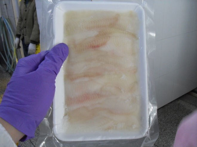 SDC10880.JPG
