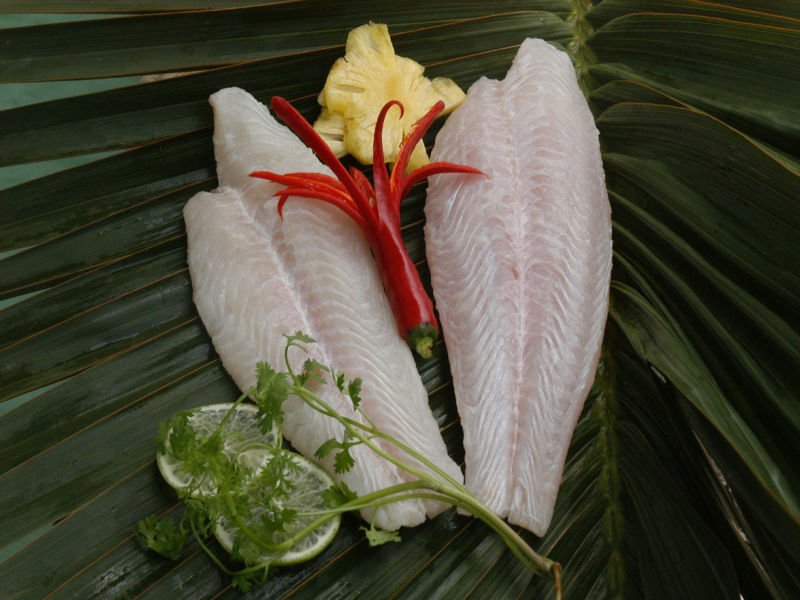 fillet 3-resized