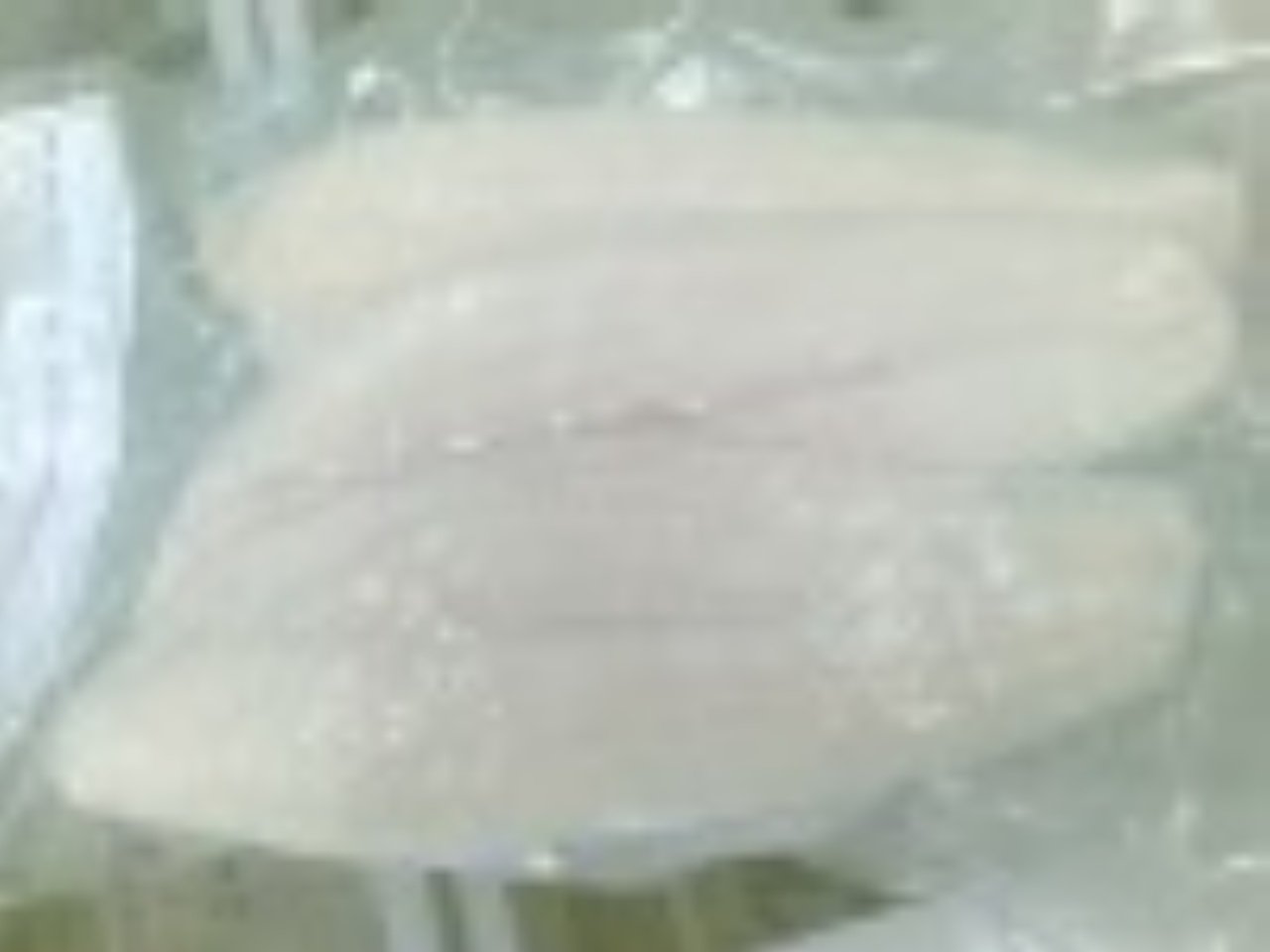 PANGASIUS_BASA_PREMIUM_FILLET_summ