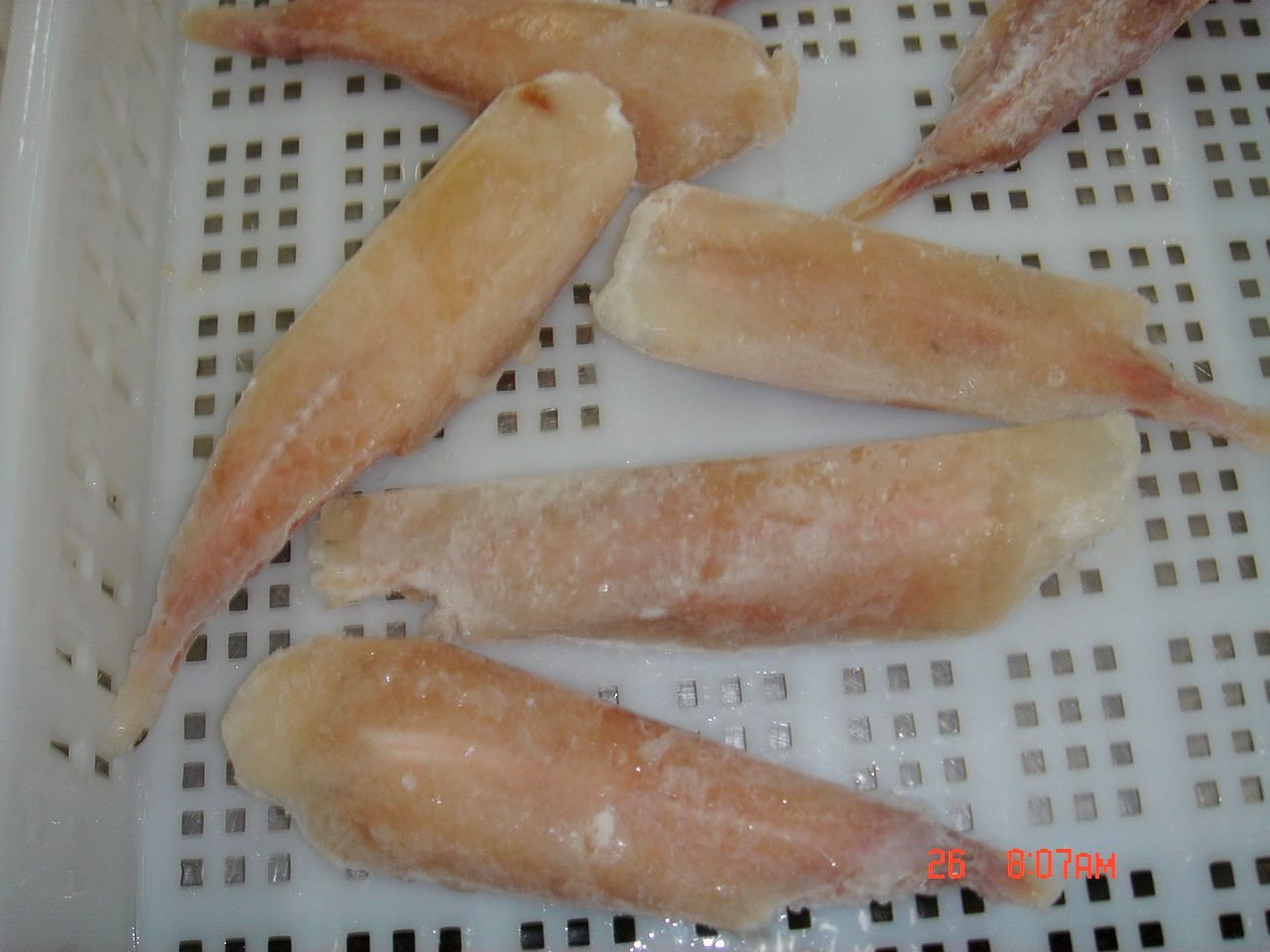 DSC03048