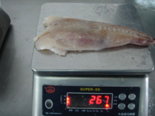 DSC09586.JPG