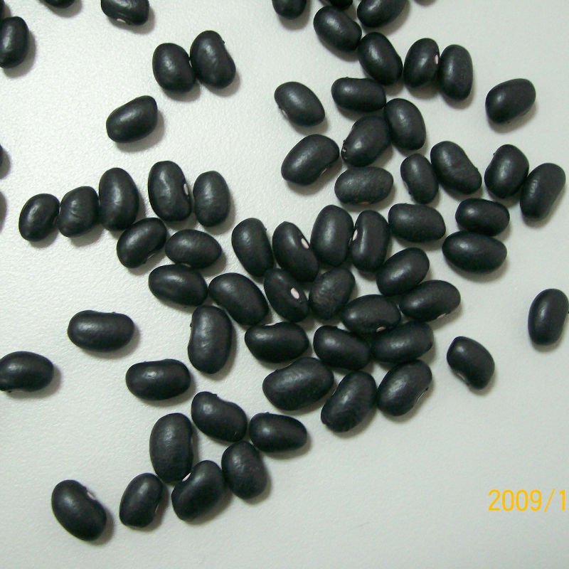 Sell Chinese Black Beans,China BOHAI GROUP Price Supplier - 21food