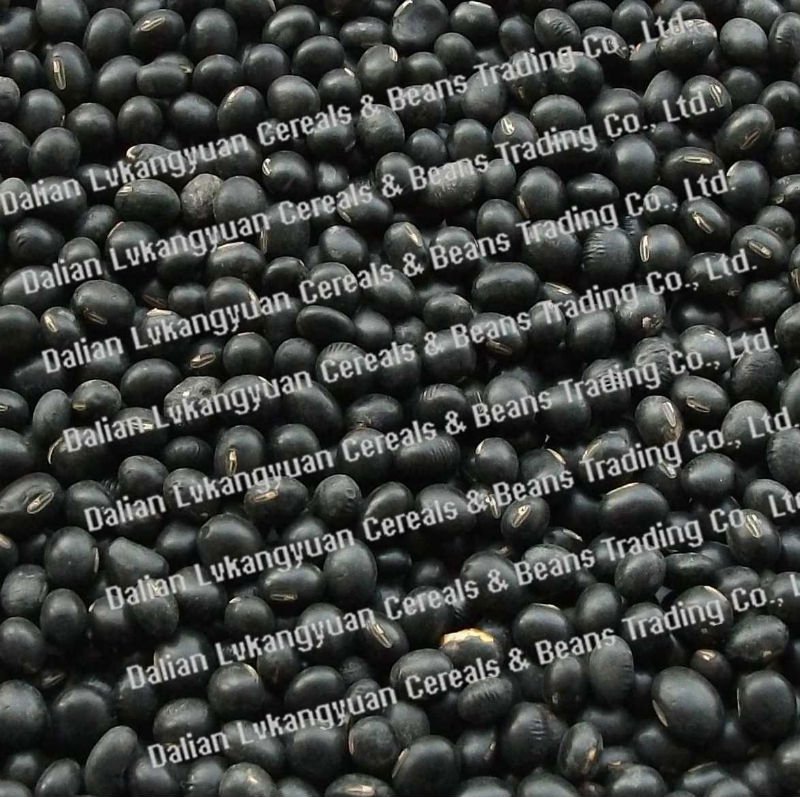 Yellow. kernels-1