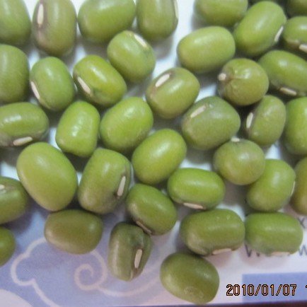GREEN MUNG BEAN.....jpg