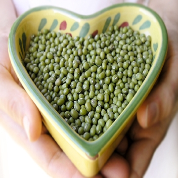 mung bean.jpg
