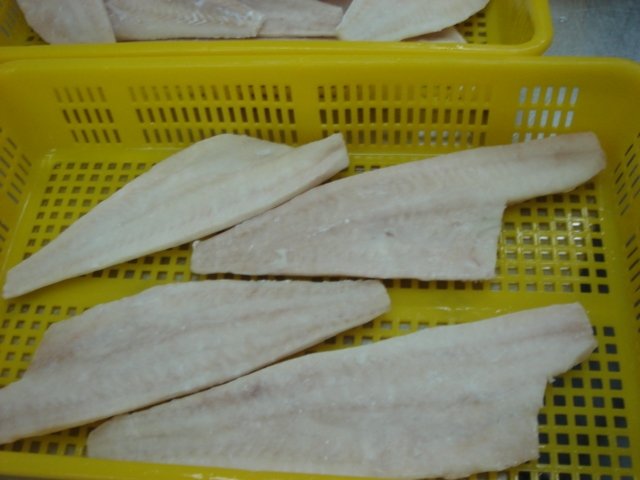 haddock fillets-2