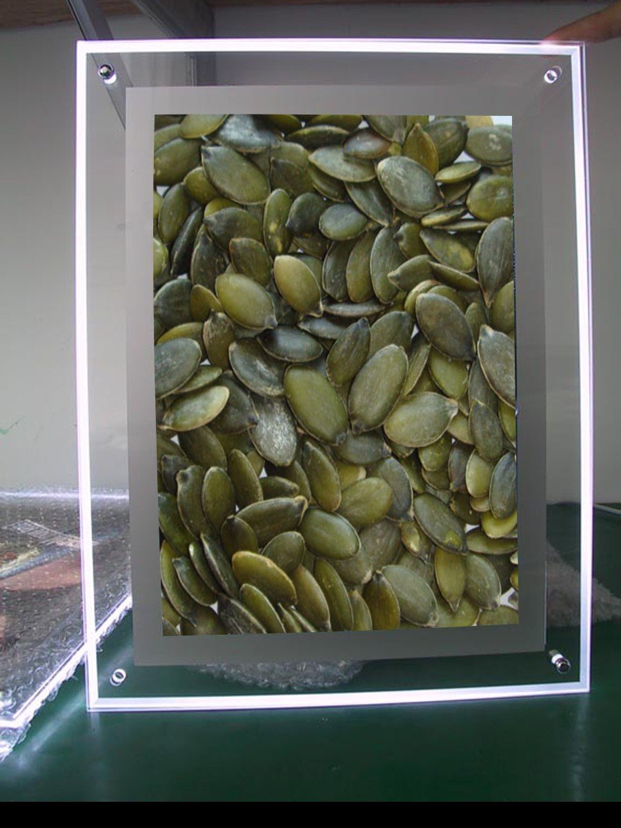 pumpkinseed gws_2