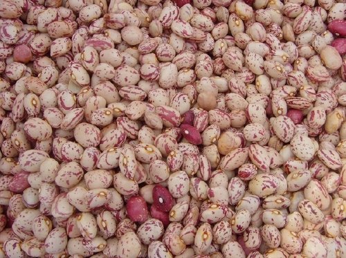 xinjiang yuan 1(1)