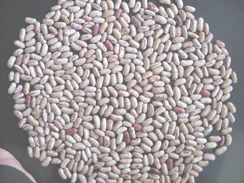 YI\'AN TYPE LSKB