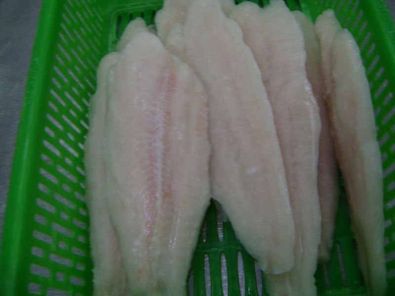 DSC02242