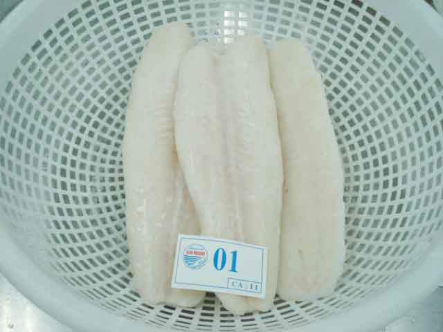 VN welltrimmed white pangasius fillet.jpg