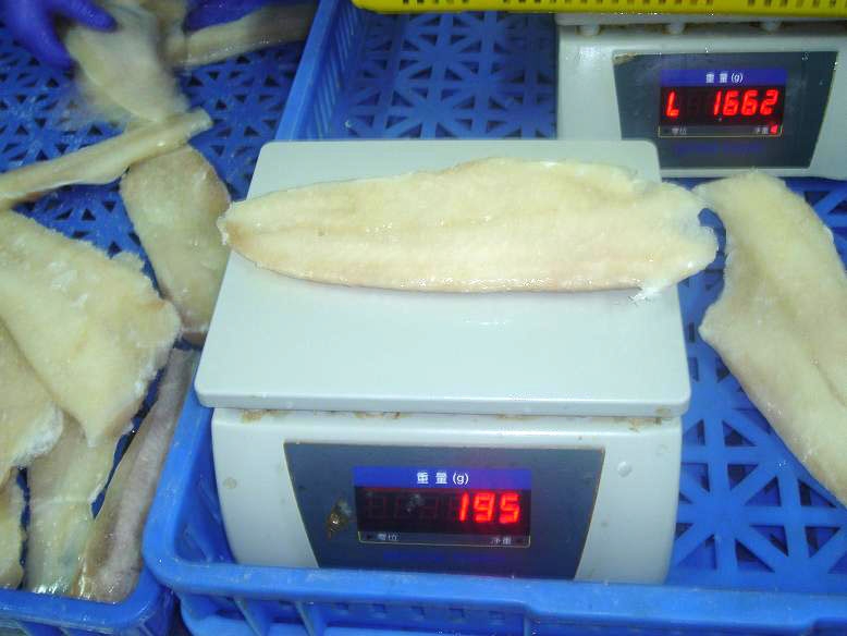 blue codfish fillet.jpg